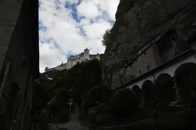 DSC_6347 (Large).JPG